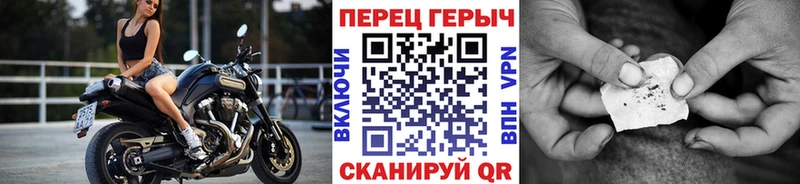 ГЕРОИН хмурый  Онега 