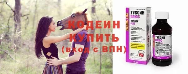 дурь Нея