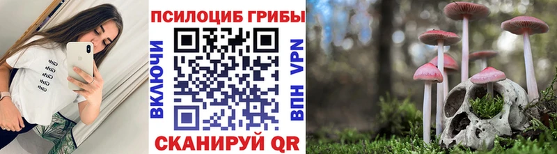 Галлюциногенные грибы Psilocybine cubensis  darknet клад  Онега 